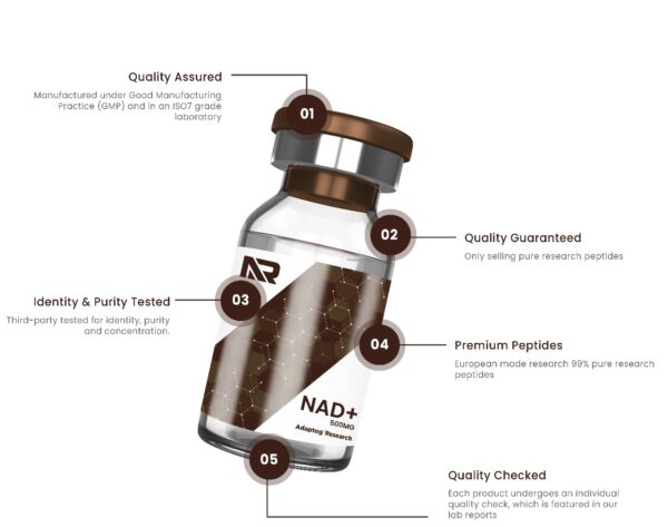 nad-2 NAD+